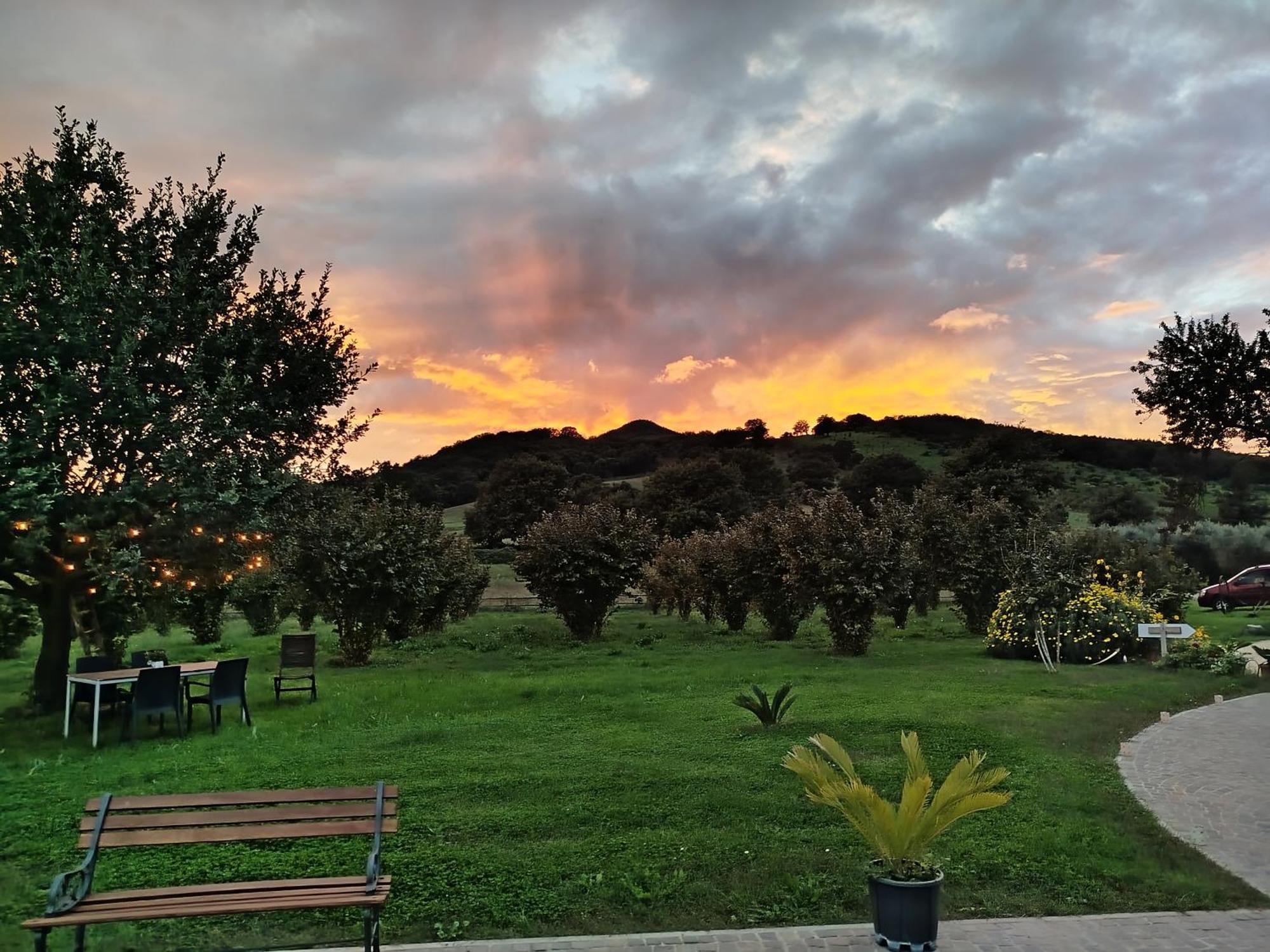 Agriturismo Casale Lisalola Hotel Sutri Exterior photo