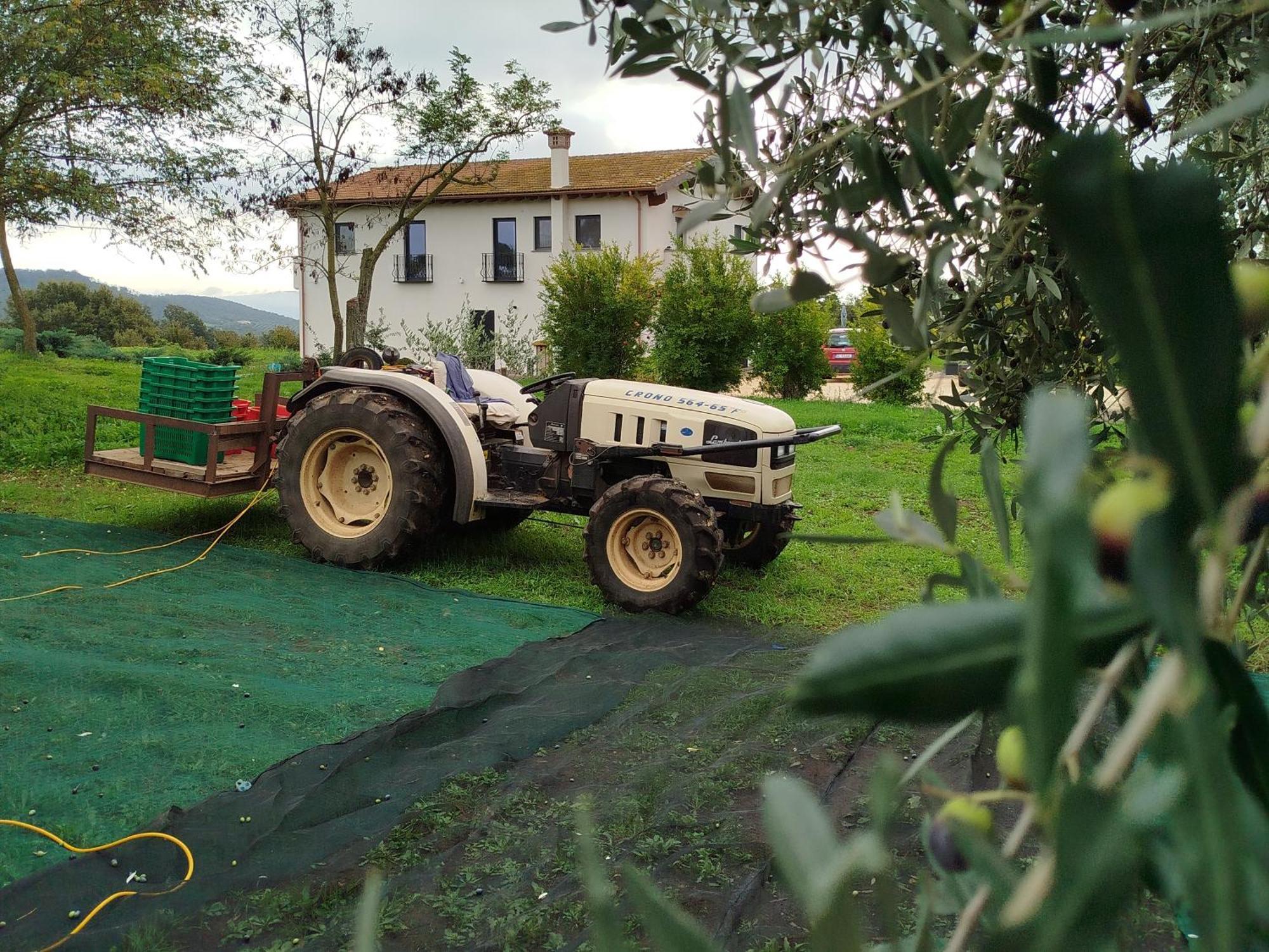 Agriturismo Casale Lisalola Hotel Sutri Exterior photo